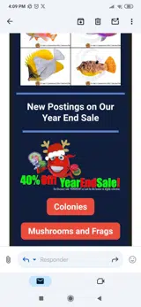 Hohoho40 coupon verification screenshot