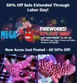 FIREWORKS50 coupon verification screenshot