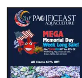MEGAMEN40 coupon verification screenshot