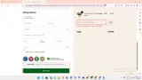 NICE20 coupon verification screenshot