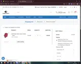 SUPLTJNGGV coupon verification screenshot
