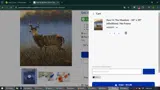 FAN10 coupon verification screenshot