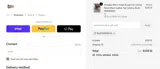 Painted Cowgirl Western Store coupon verification screenshot