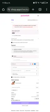 PaintLab coupon verification screenshot