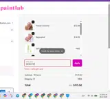 PaintLab coupon verification screenshot