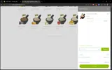 SHIPPING coupon verification screenshot