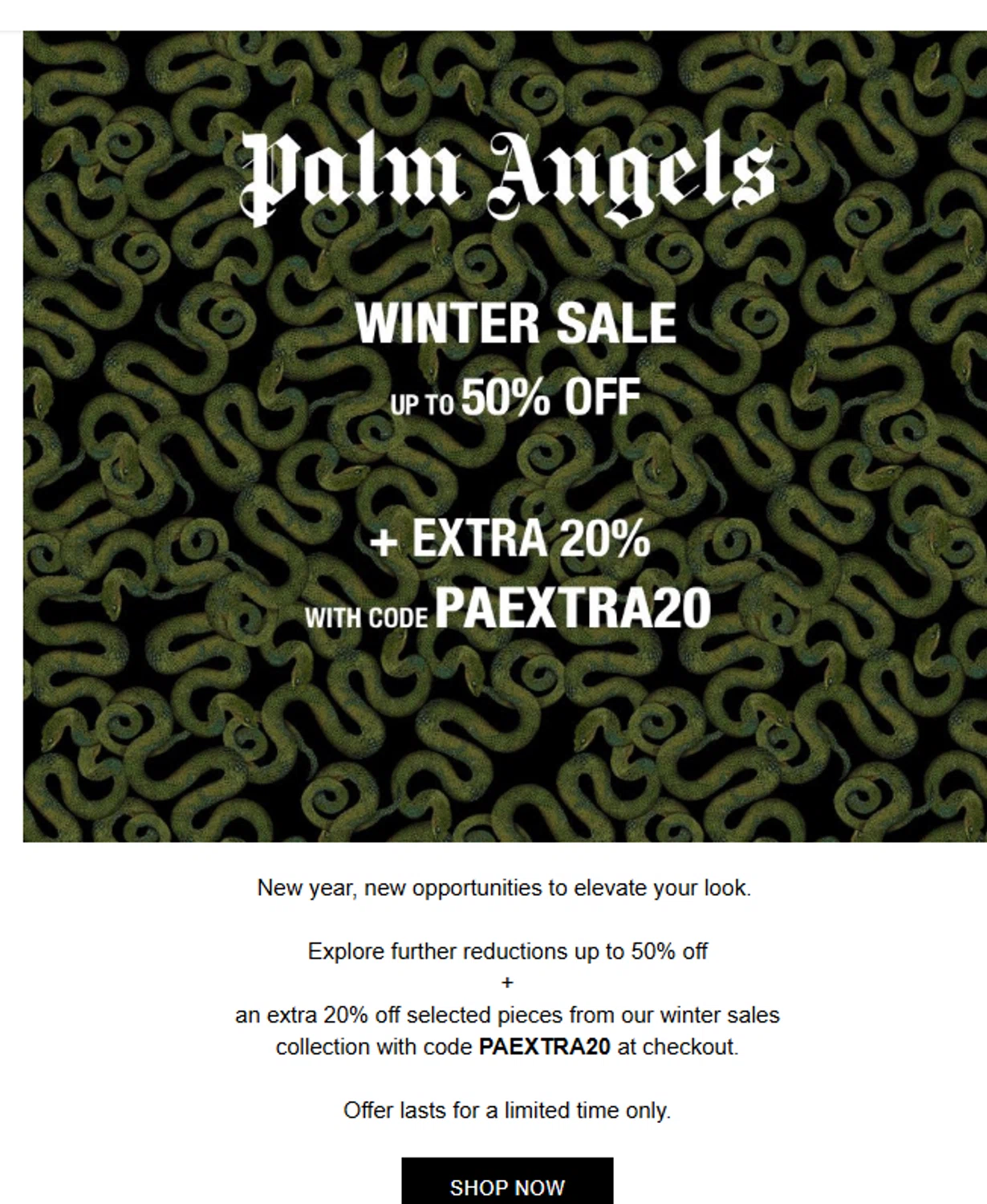 Palm Angels promo code screenshot showing code PAEXTRA20 applied at Palm Angels checkout page. Uploaded by SimplyCodes community member valeriaantonieta on Jan 17, 2026