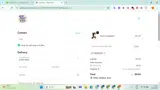 Palm Pals coupon verification screenshot