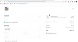 Palm Pals coupon verification screenshot