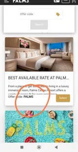 PALMS coupon verification screenshot