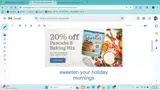 HOLIDAY20 coupon verification screenshot