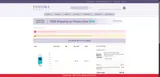 Pandora Beauty coupon verification screenshot