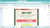 Panera Bread coupon verification screenshot