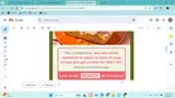 Panera Bread coupon verification screenshot