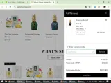 Parfums Vintage coupon verification screenshot