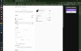 THANKYOU10 coupon verification screenshot