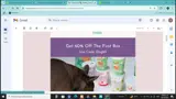 DOG60 coupon verification screenshot