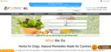 FREEBIE coupon verification screenshot