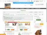 FLASH2024 coupon verification screenshot