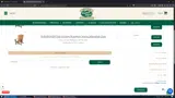 Pawley's Island coupon verification screenshot