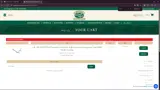 Pawley's Island coupon verification screenshot