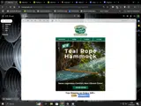 Pawley's Island coupon verification screenshot