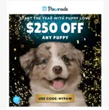 Pawrade coupon verification screenshot