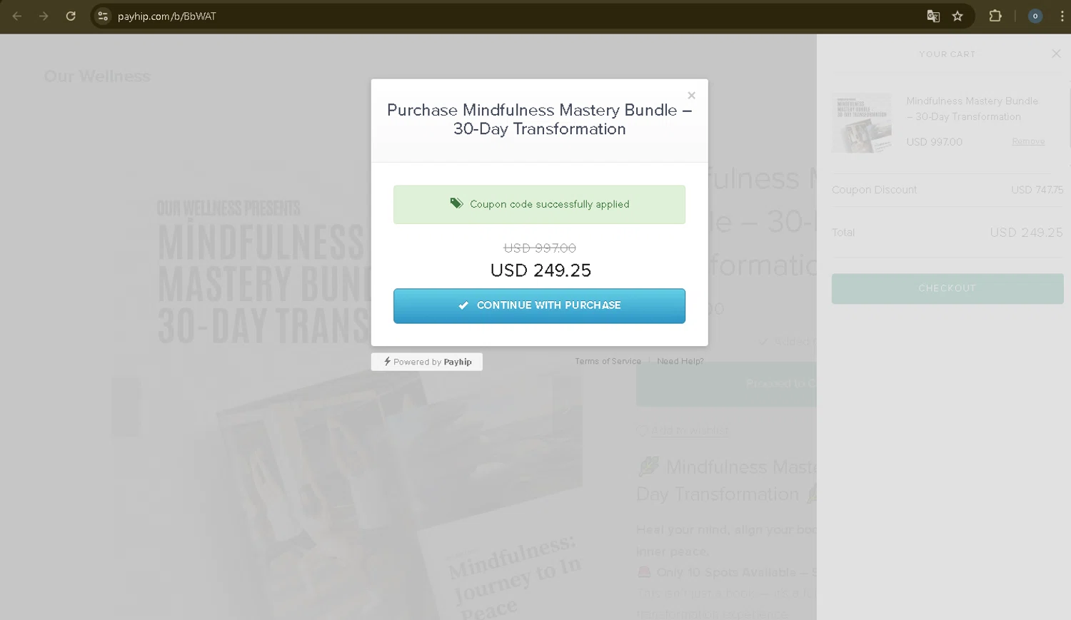 Payhip discount code screenshot showing code MINDFUL75 applied at Payhip checkout page. Uploaded by SimplyCodes community member Danmiel007 on Jun 4, 2025