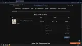 PAYLESS10 coupon verification screenshot