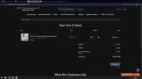 PAYLESS20 coupon verification screenshot