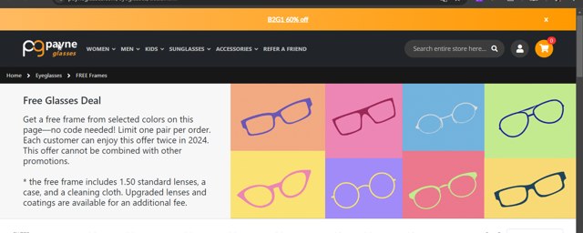 Payne Glasses checkout page showing Payne Glasses coupon code box | Screenshot taken by SimplyCodes community member on Oct 30, 2024
