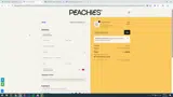 PEACHIES5-A7X9LQ2B coupon verification screenshot