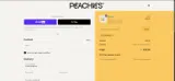 PEACHY20 coupon verification screenshot
