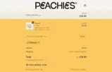 SPRING20 coupon verification screenshot