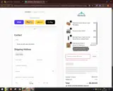 Black-Friday-300 coupon verification screenshot