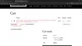 BASTILLE25 coupon verification screenshot