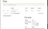 PUMPS24 coupon verification screenshot