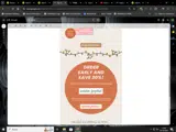JOYFUL coupon verification screenshot