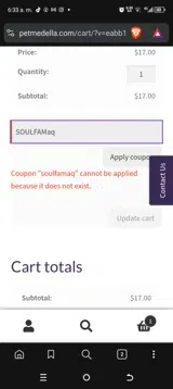 SOULFAM coupon verification screenshot