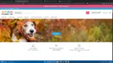 fall25 coupon verification screenshot
