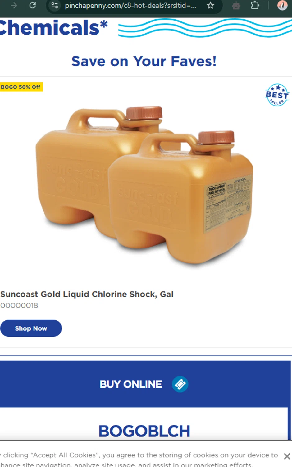 Pinch a Penny checkout page showing Pinch a Penny coupon code box | Screenshot taken by SimplyCodes community member on Dec 6, 2024