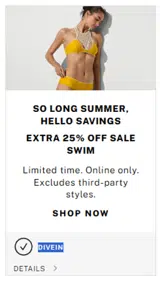 PINK by Victoria’s Secret coupon verification screenshot