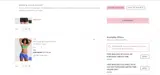PINK by Victoria’s Secret coupon verification screenshot
