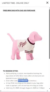 PINK by Victoria’s Secret coupon verification screenshot