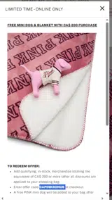 PINK by Victoria’s Secret coupon verification screenshot