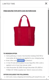 PINK by Victoria’s Secret coupon verification screenshot