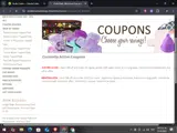 NEWTOCLOTH coupon verification screenshot