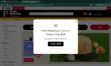 Pittsburgh Pirates coupon verification screenshot