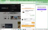 pizzello20 coupon verification screenshot