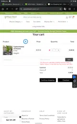 WELCOME10 coupon verification screenshot